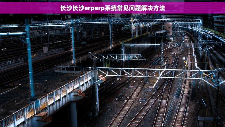 长沙长沙erperp系统常见问题解决方法