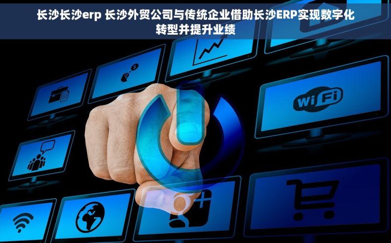 长沙长沙erp 长沙外贸公司与传统企业借助长沙ERP实现数字化转型并提升业绩