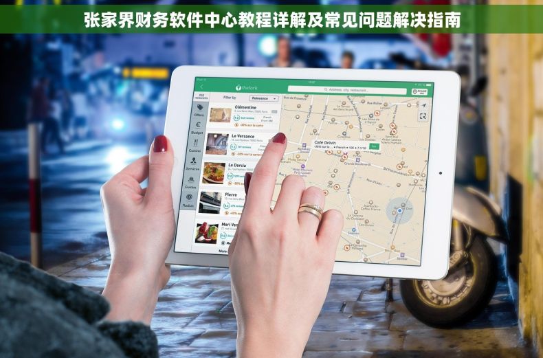 张家界财务软件中心教程详解及常见问题解决指南