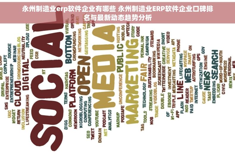 永州制造业erp软件企业有哪些 永州制造业ERP软件企业口碑排名与最新动态趋势分析