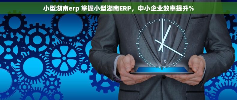 小型湖南erp 掌握小型湖南ERP，中小企业效率提升%