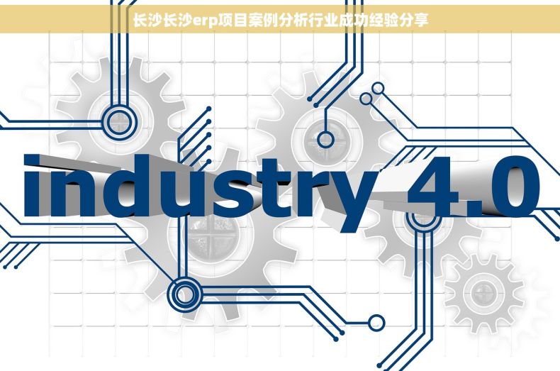 长沙长沙erp项目案例分析行业成功经验分享