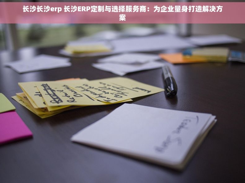 长沙长沙erp 长沙ERP定制与选择服务商：为企业量身打造解决方案