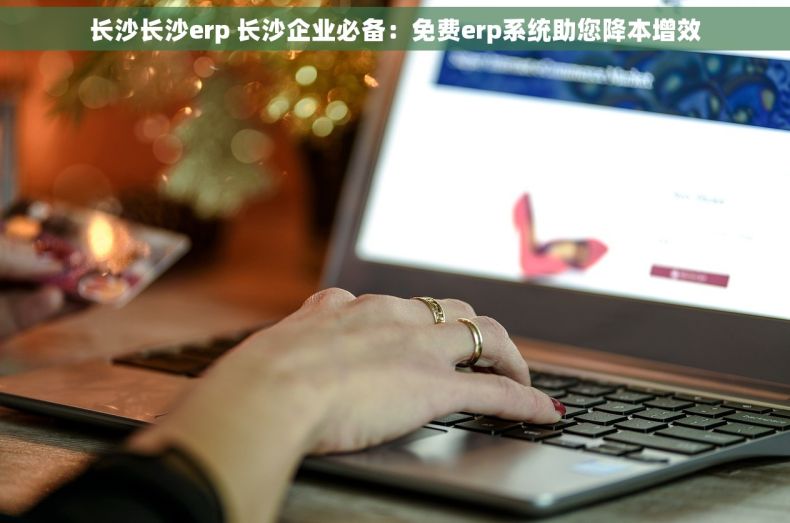长沙长沙erp 长沙企业必备：免费erp系统助您降本增效