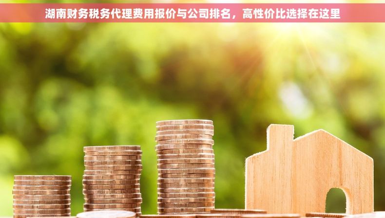 湖南财务税务代理费用报价与公司排名，高性价比选择在这里