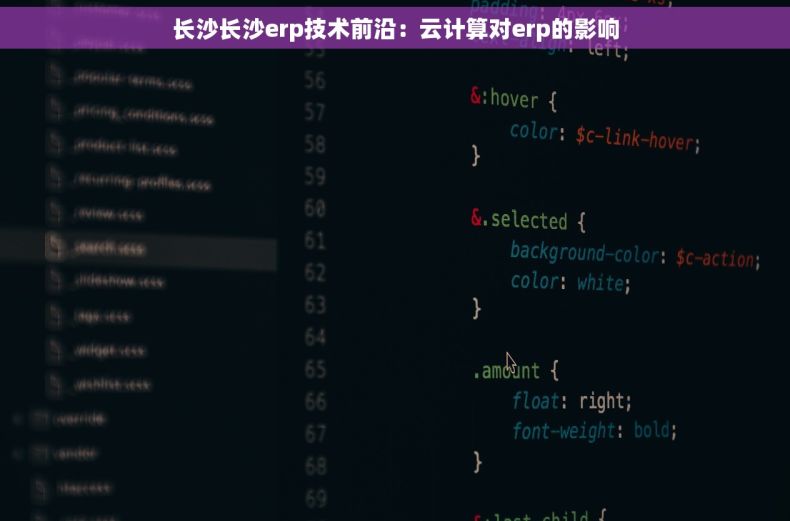 长沙长沙erp技术前沿：云计算对erp的影响