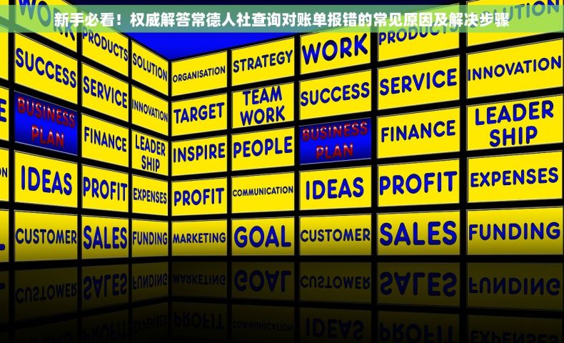 新手必看！权威解答常德人社查询对账单报错的常见原因及解决步骤
