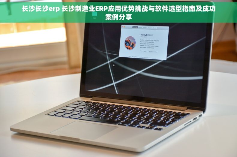 长沙长沙erp 长沙制造业ERP应用优势挑战与软件选型指南及成功案例分享