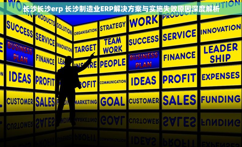 长沙长沙erp 长沙制造业ERP解决方案与实施失败原因深度解析