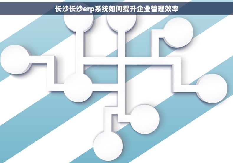 长沙长沙erp系统如何提升企业管理效率