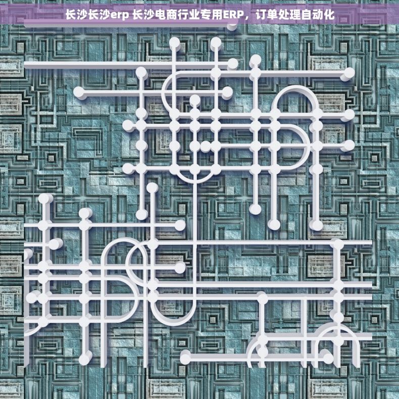 长沙长沙erp 长沙电商行业专用ERP，订单处理自动化