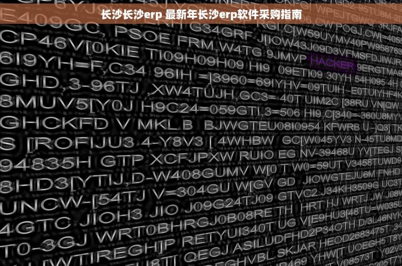长沙长沙erp 最新年长沙erp软件采购指南