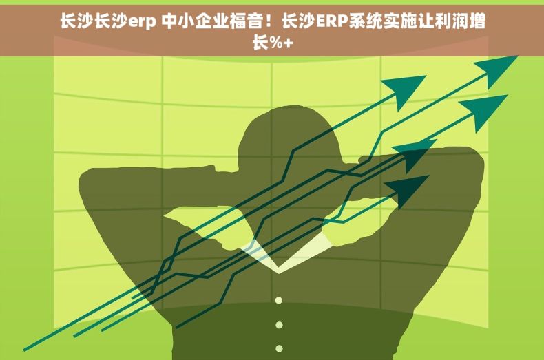 长沙长沙erp 中小企业福音！长沙ERP系统实施让利润增长%+
