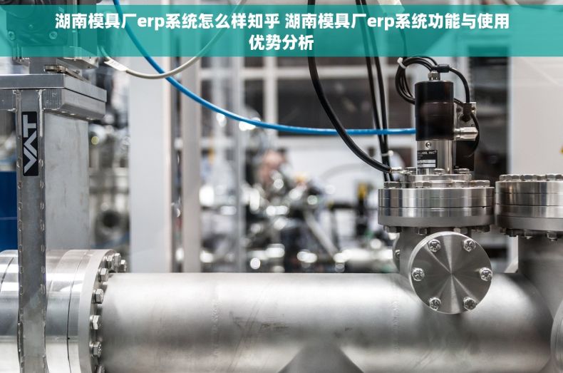 湖南模具厂erp系统怎么样知乎 湖南模具厂erp系统功能与使用优势分析