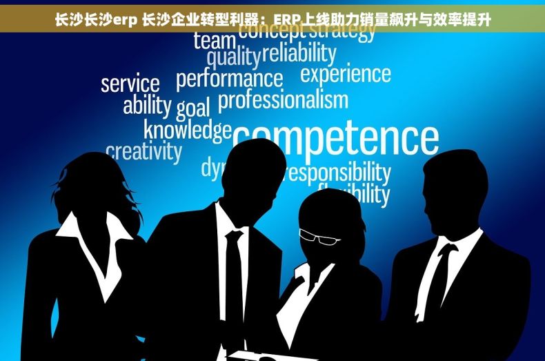 长沙长沙erp 长沙企业转型利器：ERP上线助力销量飙升与效率提升