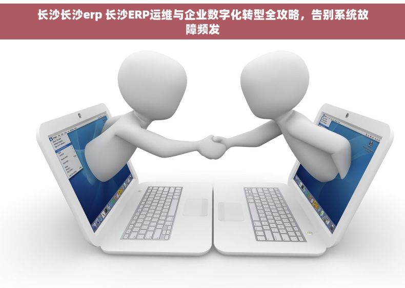 长沙长沙erp 长沙ERP运维与企业数字化转型全攻略，告别系统故障频发