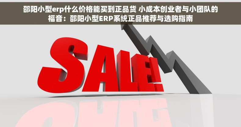 邵阳小型erp什么价格能买到正品货 小成本创业者与小团队的福音：邵阳小型ERP系统正品推荐与选购指南