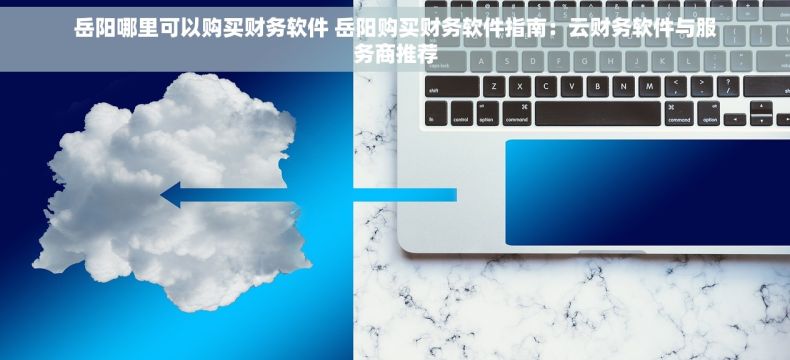 岳阳哪里可以购买财务软件 岳阳购买财务软件指南：云财务软件与服务商推荐