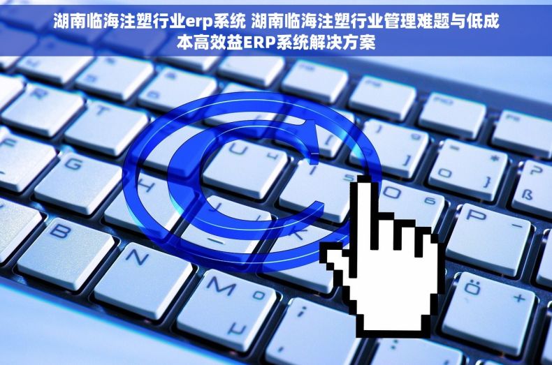 湖南临海注塑行业erp系统 湖南临海注塑行业管理难题与低成本高效益ERP系统解决方案