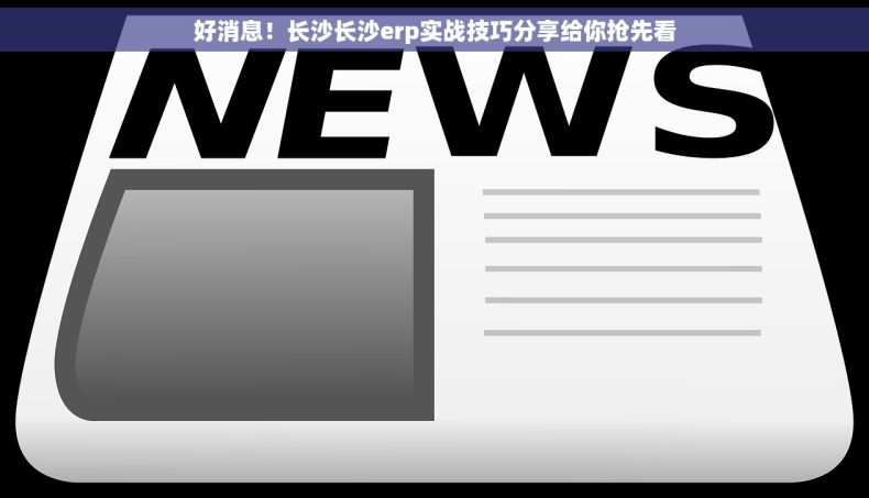 好消息！长沙长沙erp实战技巧分享给你抢先看