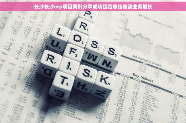长沙长沙erp项目案例分享成功经验总结推动业务增长