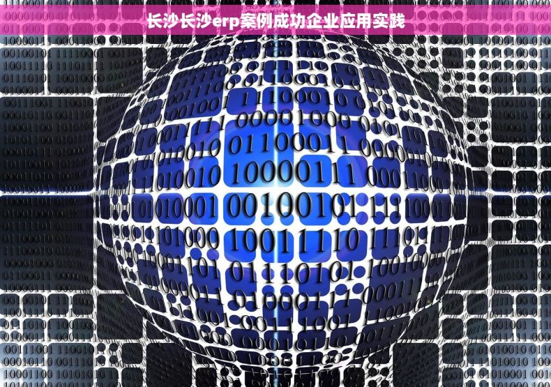 长沙长沙erp案例成功企业应用实践