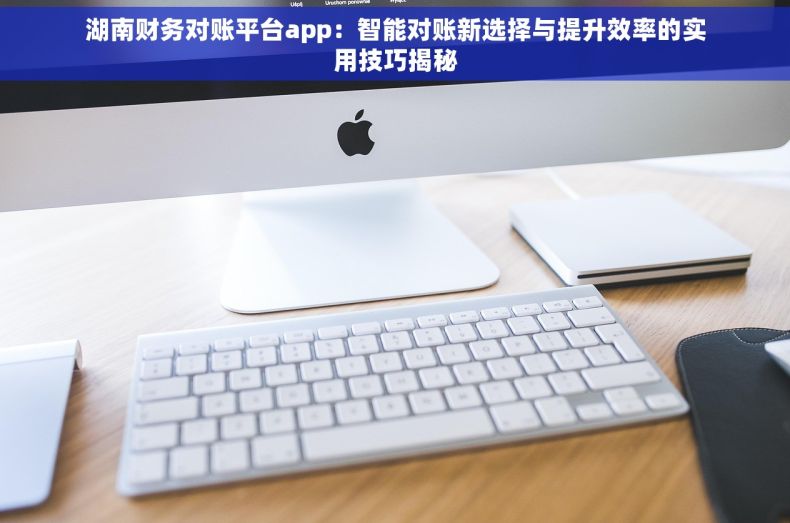 湖南财务对账平台app：智能对账新选择与提升效率的实用技巧揭秘