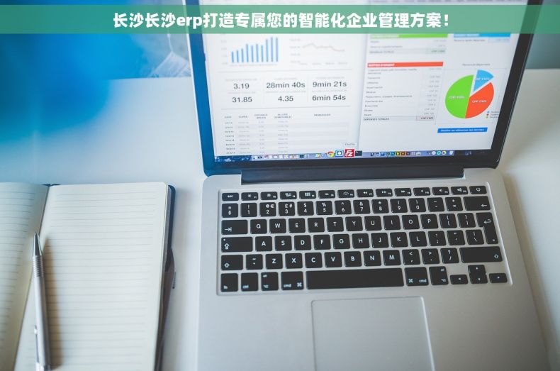 长沙长沙erp打造专属您的智能化企业管理方案！