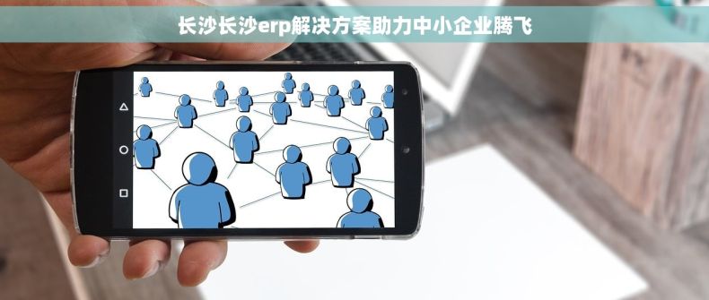 长沙长沙erp解决方案助力中小企业腾飞