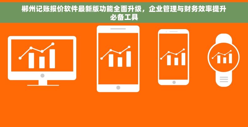郴州记账报价软件最新版功能全面升级，企业管理与财务效率提升必备工具