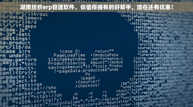 湖南纺织erp管理软件，你值得拥有的好帮手，现在还有优惠！