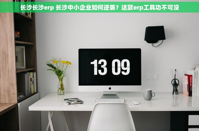 长沙长沙erp 长沙中小企业如何逆袭？这款erp工具功不可没