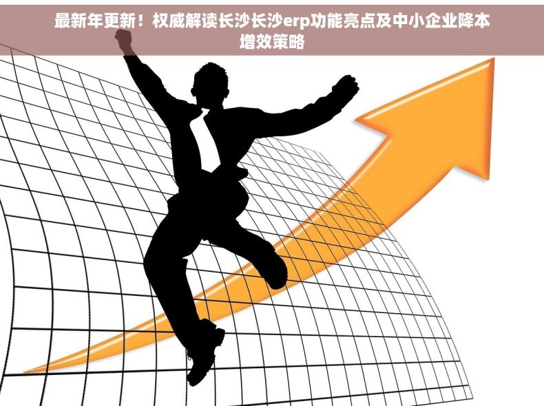 最新年更新！权威解读长沙长沙erp功能亮点及中小企业降本增效策略