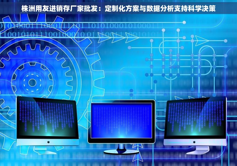 株洲用友进销存厂家批发：定制化方案与数据分析支持科学决策