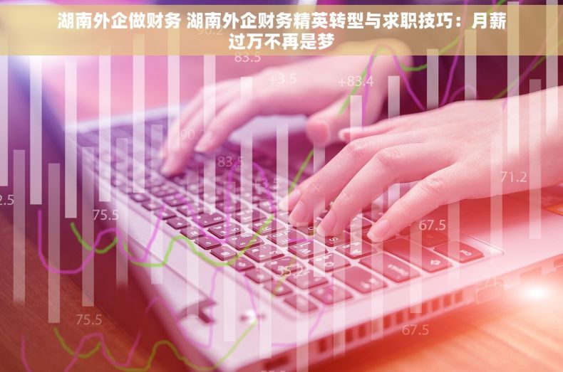 湖南外企做财务 湖南外企财务精英转型与求职技巧：月薪过万不再是梦