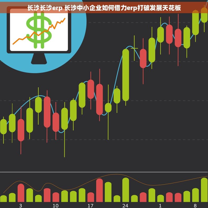 长沙长沙erp 长沙中小企业如何借力erp打破发展天花板