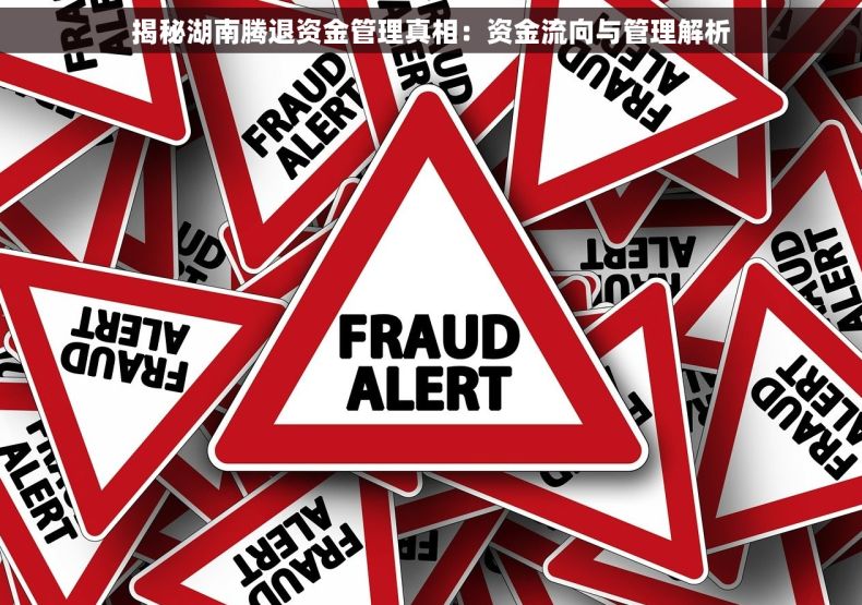 揭秘湖南腾退资金管理真相：资金流向与管理解析