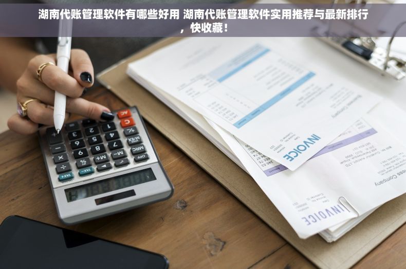 湖南代账管理软件有哪些好用 湖南代账管理软件实用推荐与最新排行，快收藏！