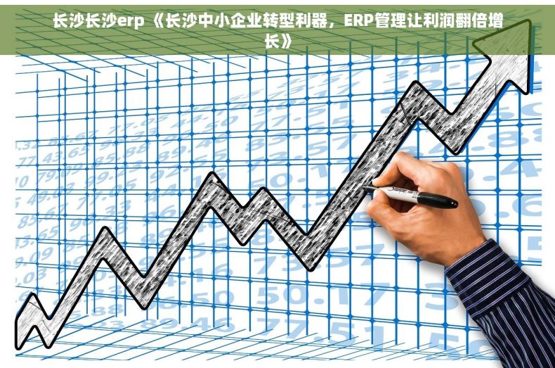 长沙长沙erp 《长沙中小企业转型利器，ERP管理让利润翻倍增长》
