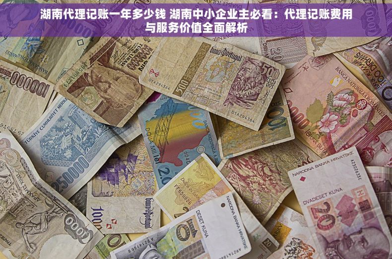湖南代理记账一年多少钱 湖南中小企业主必看：代理记账费用与服务价值全面解析