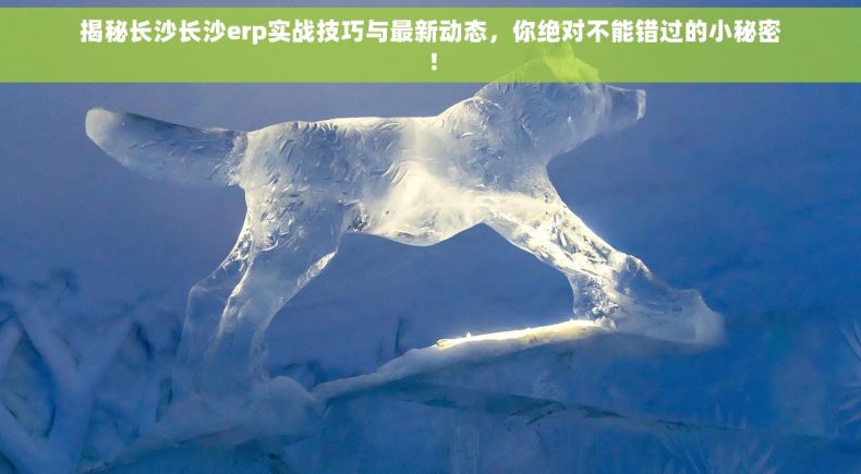 揭秘长沙长沙erp实战技巧与最新动态，你绝对不能错过的小秘密！