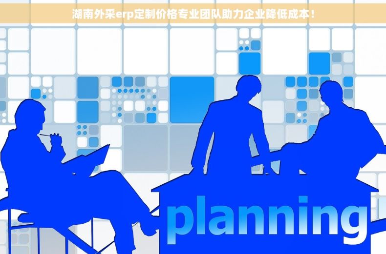 湖南外采erp定制价格专业团队助力企业降低成本！