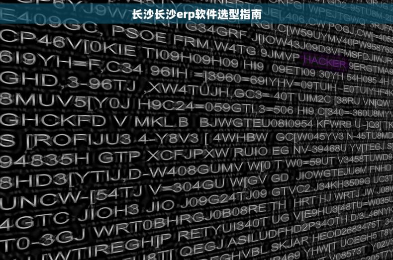 长沙长沙erp软件选型指南