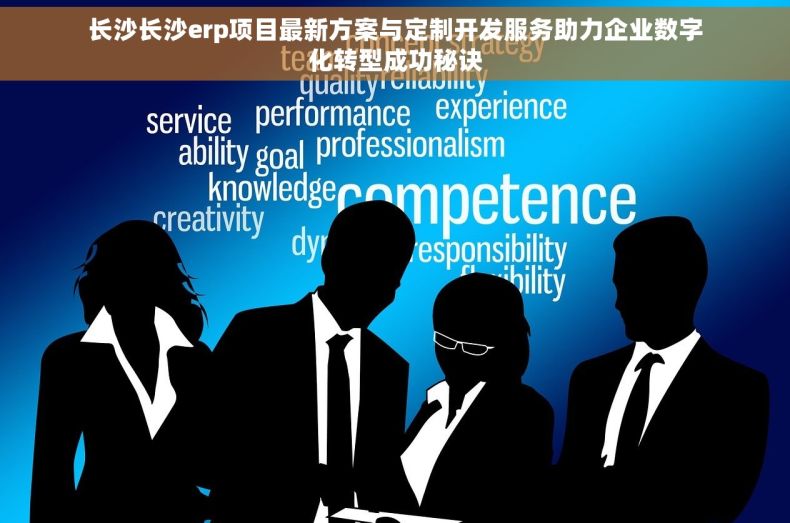 长沙长沙erp项目最新方案与定制开发服务助力企业数字化转型成功秘诀