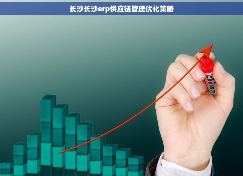 长沙长沙erp供应链管理优化策略