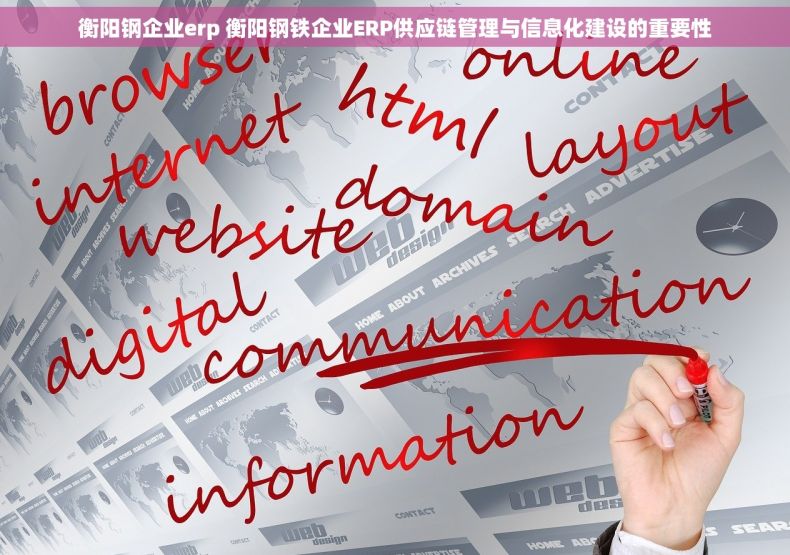 衡阳钢企业erp 衡阳钢铁企业ERP供应链管理与信息化建设的重要性