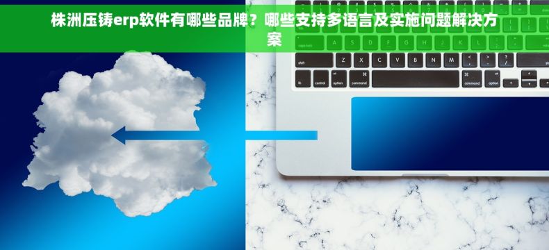 株洲压铸erp软件有哪些品牌？哪些支持多语言及实施问题解决方案