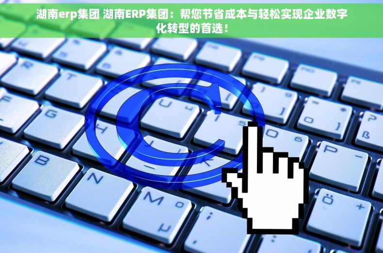 湖南erp集团 湖南ERP集团：帮您节省成本与轻松实现企业数字化转型的首选！