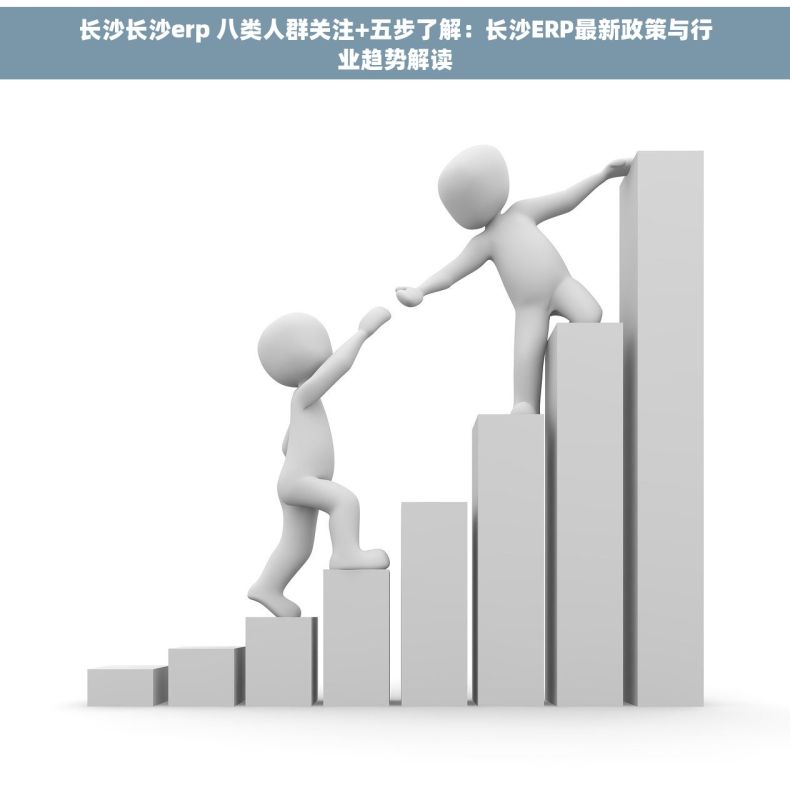 长沙长沙erp 八类人群关注+五步了解：长沙ERP最新政策与行业趋势解读