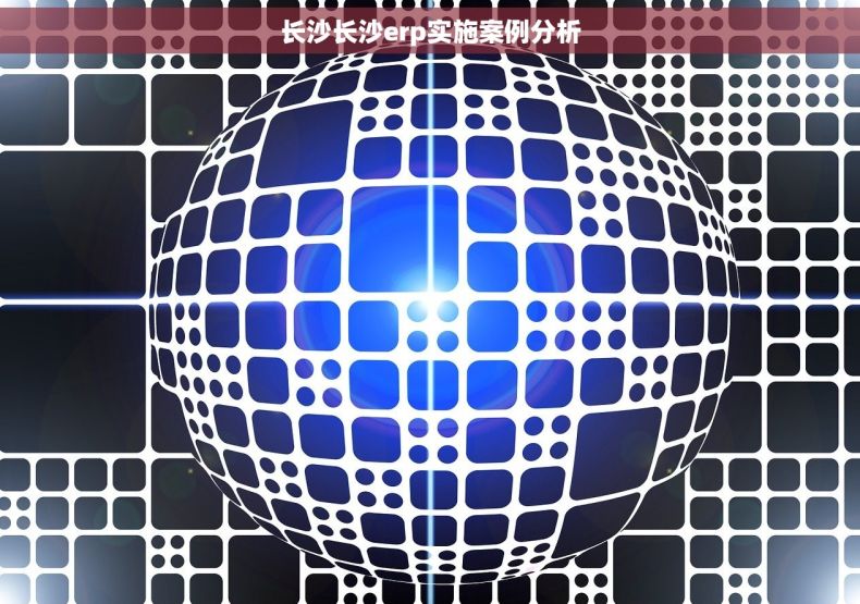 长沙长沙erp实施案例分析